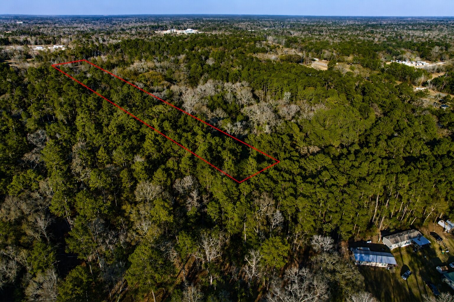 17038 Payne Road Conroe, TX 77302 - Photo 4 of 24