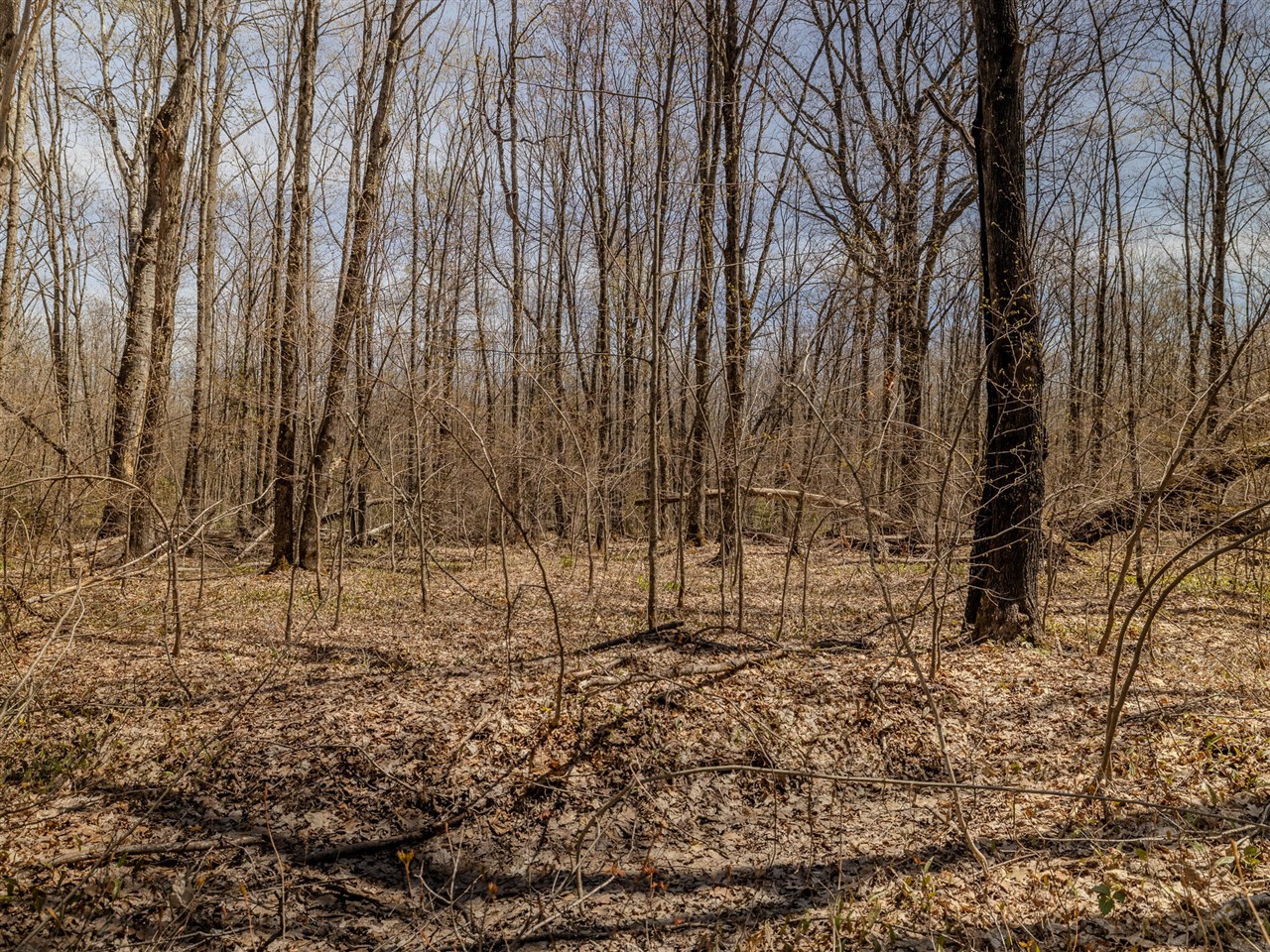 Lot 2 East Shore Road Bergland, MI 49910 - Photo 13 of 25
