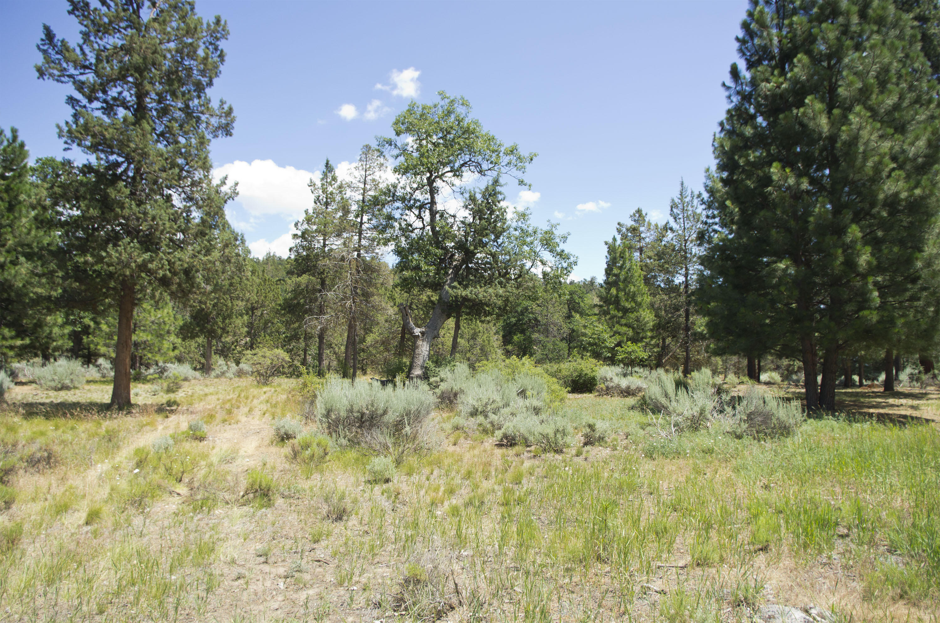 Murrelet Road Klamath Falls, OR 97601 - Photo 2 of 11 Lot01