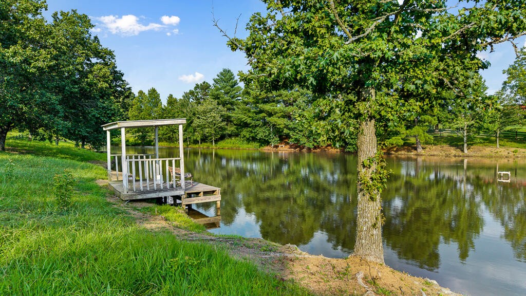 559 White Road Old Fort, TN 37362 - Photo 9 of 100 Gallery Image 9