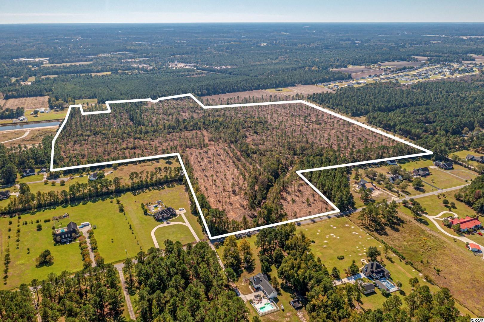 1 Manchester Ranch Place Aynor, SC 29511 - Photo 4 of 39 Gallery Image 4
