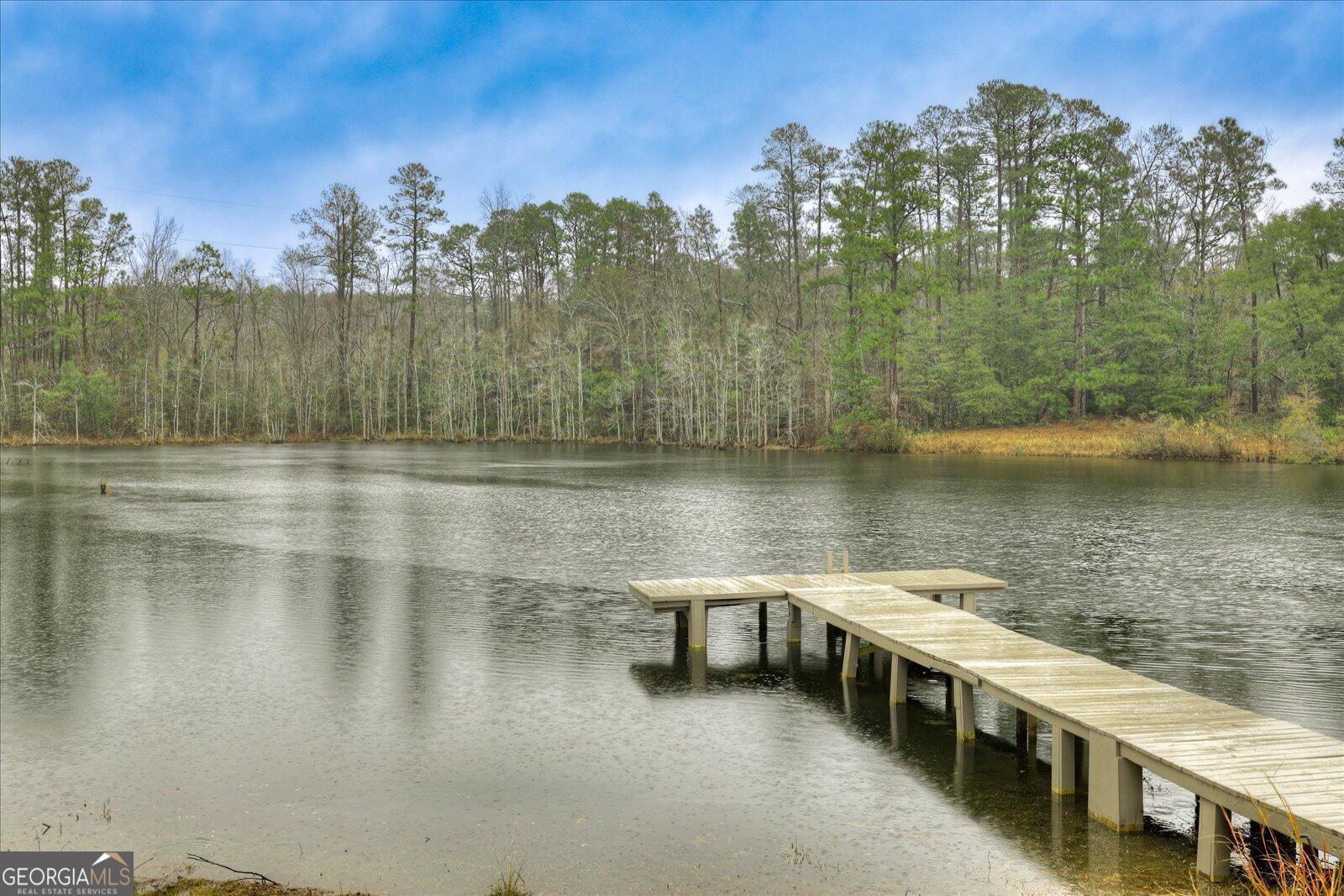 4756 Mike Padgett Highway Augusta, GA 30906 - Photo 25 of 28 a view of a lake with houses