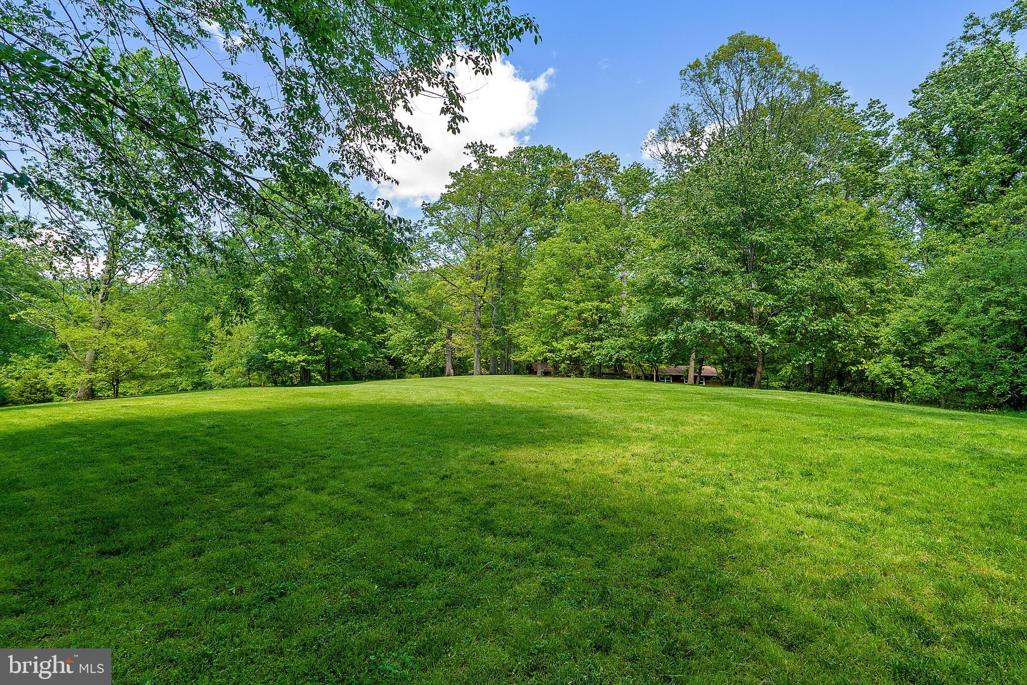 6835 Yates Ford Road Manassas, VA 20111 - Photo 42 of 49 Cleared Land
