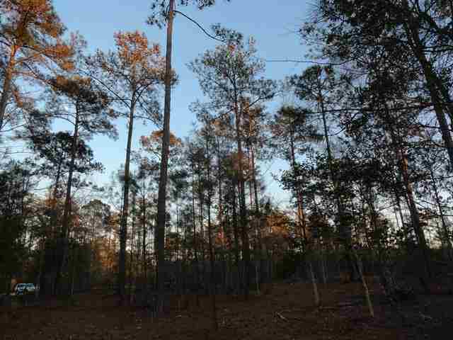 Lot 202 Camphill Circle Murrells Inlet, SC 29576 - Photo 1 of 9