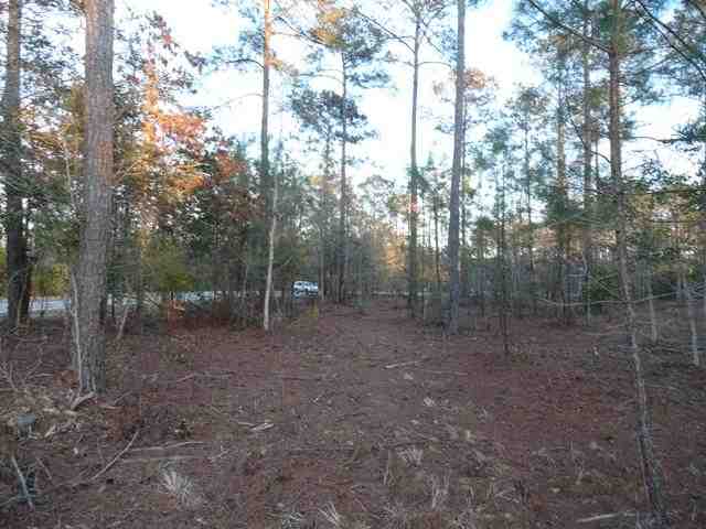 Lot 202 Camphill Circle Murrells Inlet, SC 29576 - Photo 2 of 9