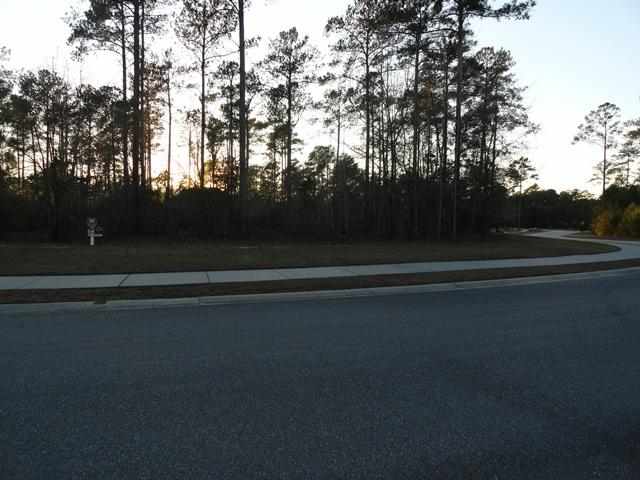 Lot 202 Camphill Circle Murrells Inlet, SC 29576 - Photo 4 of 9
