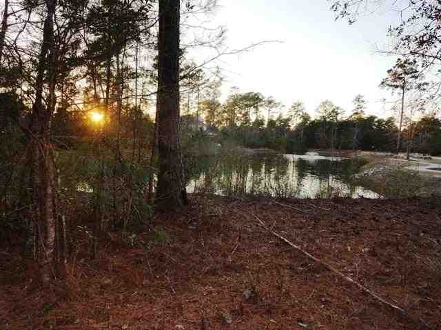 Lot 202 Camphill Circle Murrells Inlet, SC 29576 - Photo 5 of 9