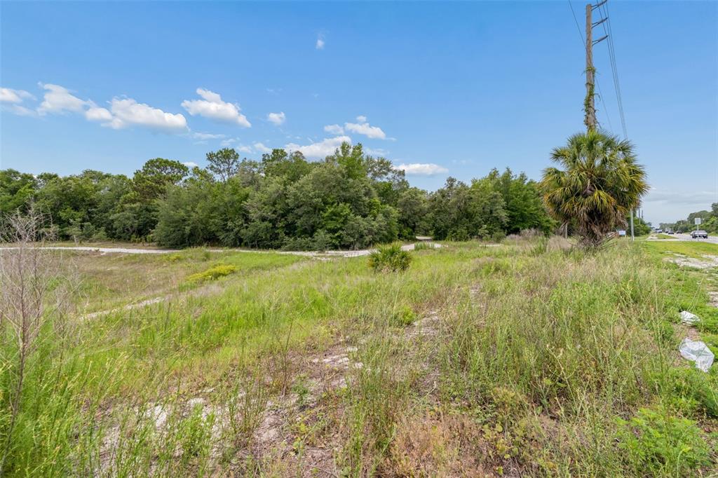 County Line Rd Spring Hill Hudson, FL 34667 - Photo 15 of 19