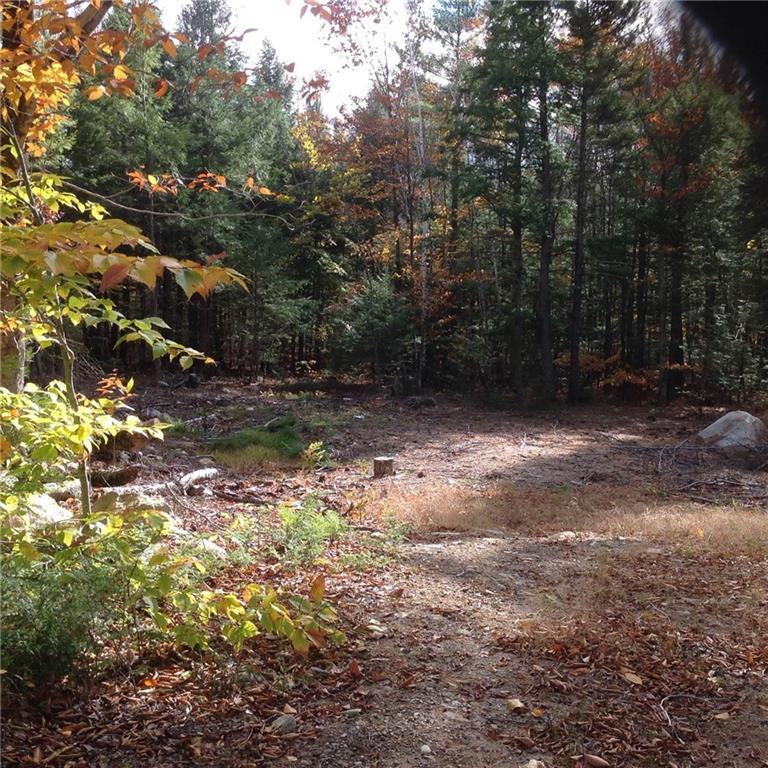 80 Highland Ridge Hollis Center, ME 04042 - Photo 5 of 6 Photo