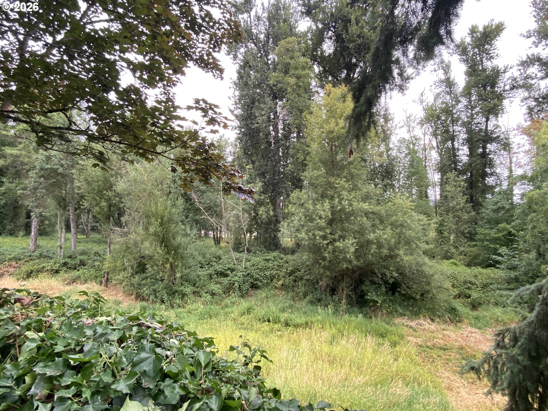 2850 Riviera Court Springfield, OR 97477 - Photo 10 of 36 Backyard
