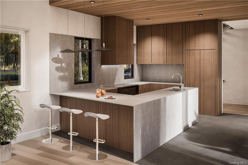 0 Bulls Head Road Clinton Corners, NY 12514 - Photo 11 of 19 Luxury kitchen.