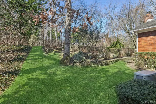 a view of a backyard