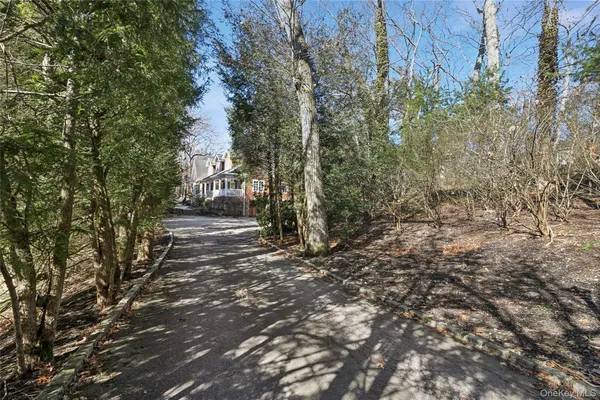 a view of a forest with trees