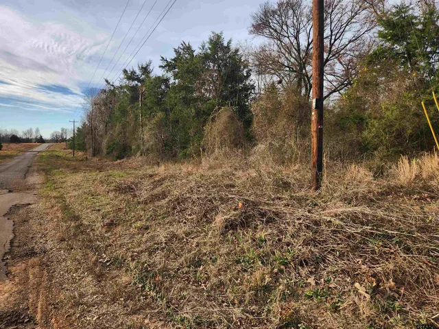 a view of a yard with trees