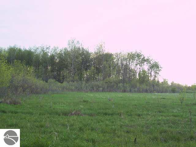 1848 Turner Road Turner, MI 48765 - Photo 5 of 8 1753479-4.JPG