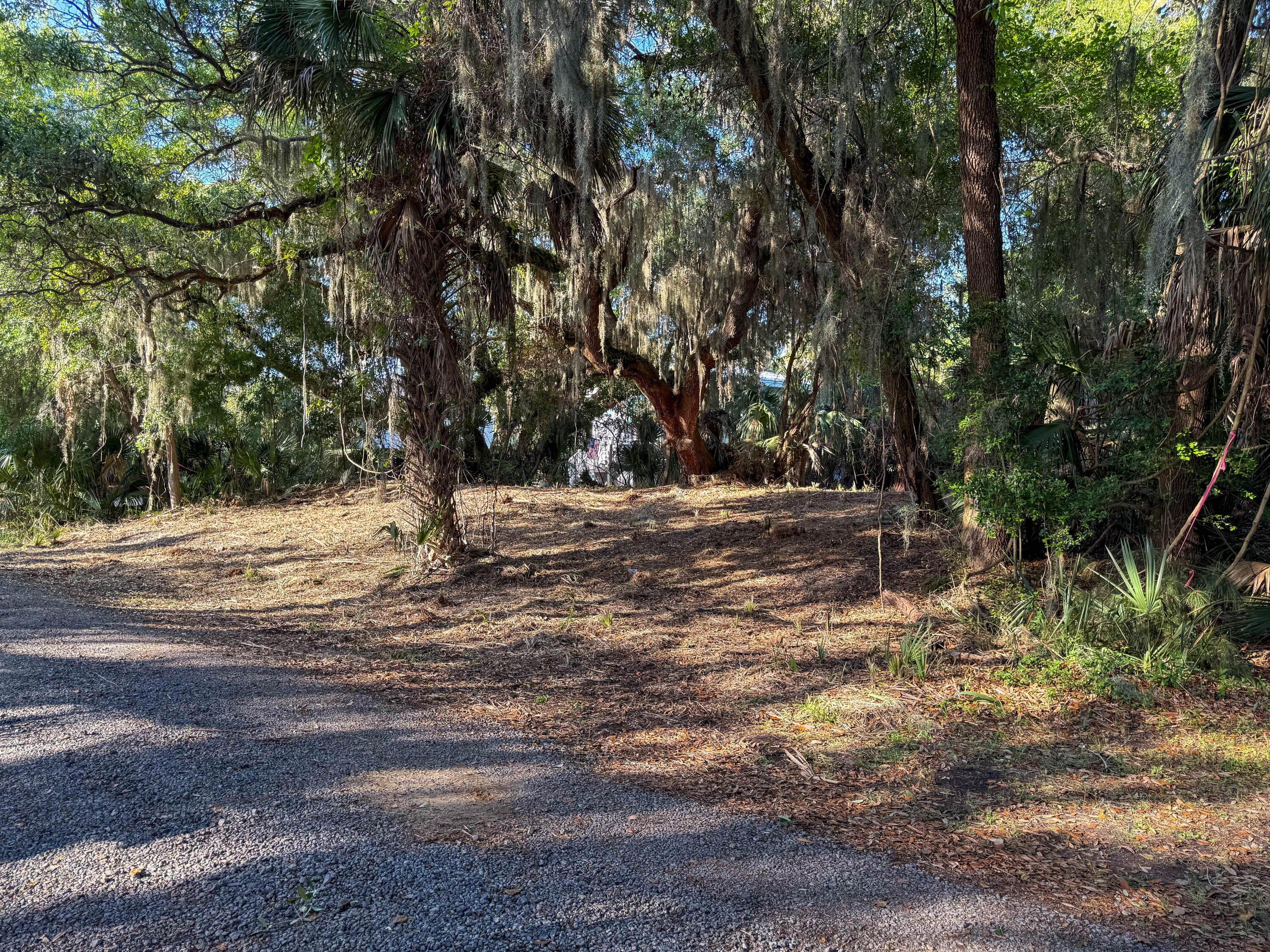 3303 Fort Street Edisto Island, SC 29438 - Photo 18 of 27 Fort-Lot-17