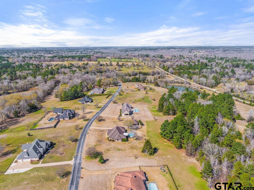 21883 Syrah Tyler, TX 75703 - Photo 3 of 46