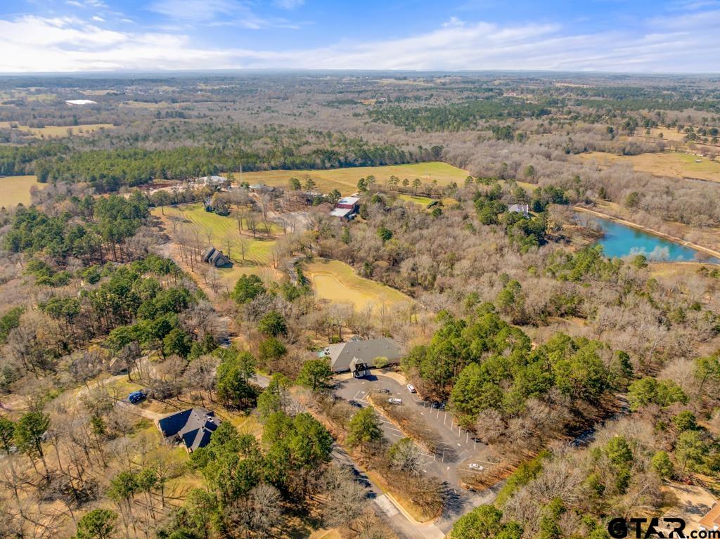 21883 Syrah Tyler, TX 75703 - Photo 43 of 46