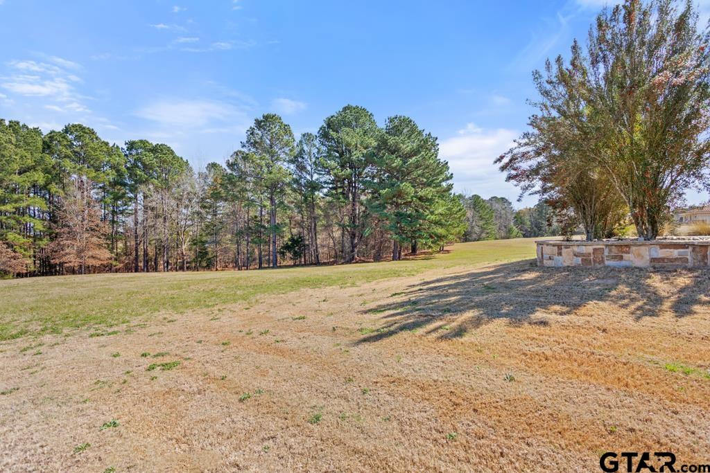 21883 Syrah Tyler, TX 75703 - Photo 6 of 46