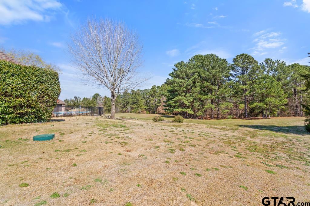 21883 Syrah Tyler, TX 75703 - Photo 7 of 46