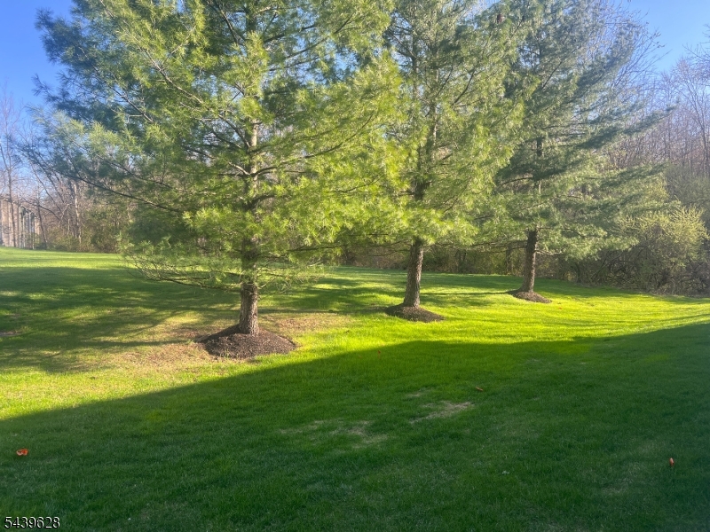 285 Penns Way Bernards, NJ 07920 - Photo 36 of 48