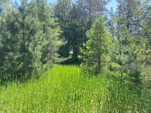 $149,900 | Us-131 Highway, Mancelona, MI 49659