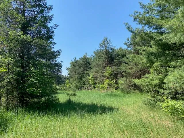 $149,900 | Us-131 Highway, Mancelona, MI 49659