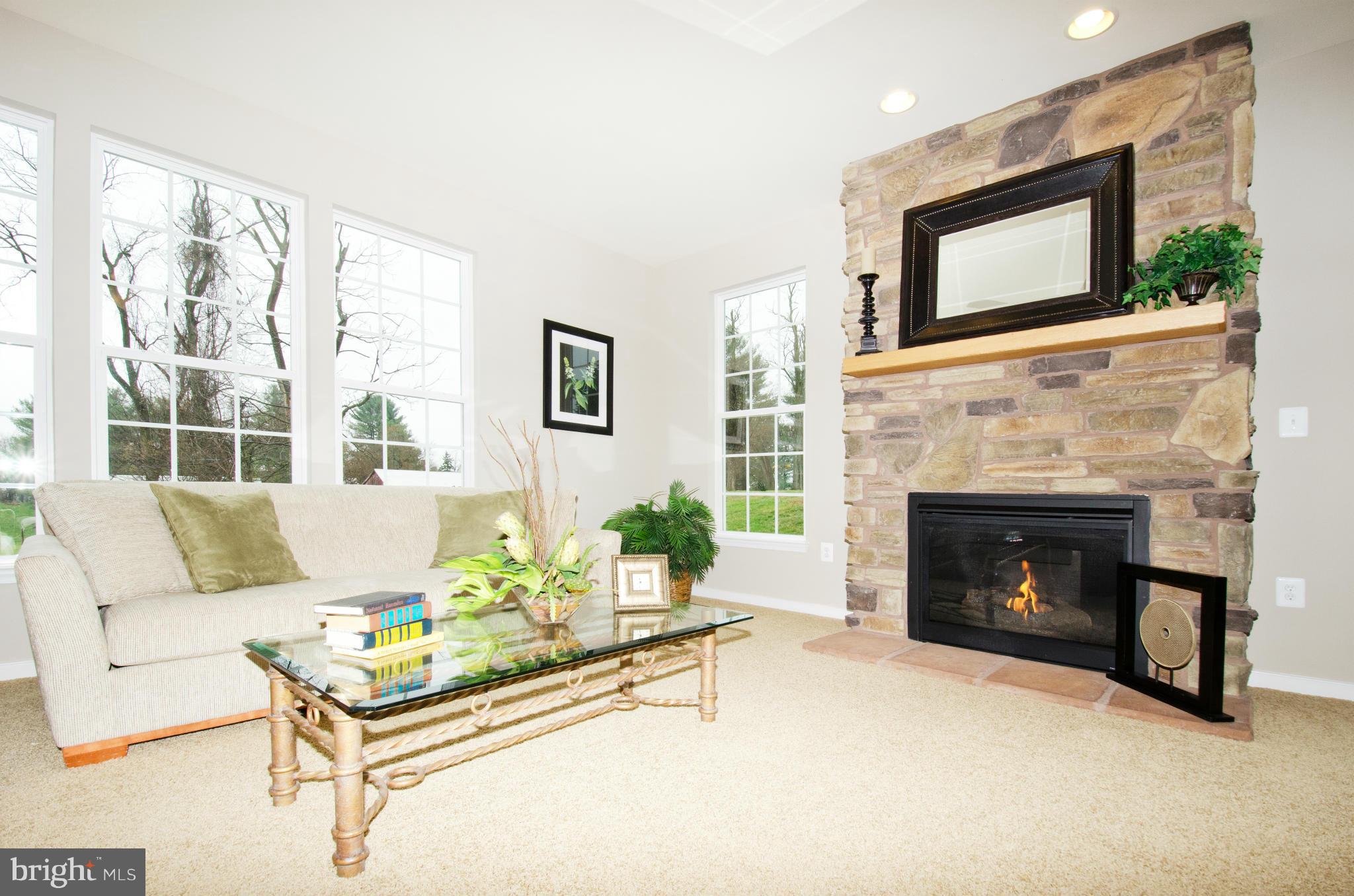 125 Standpipe Road Culpeper, VA 22701 - Photo 11 of 22 Family Room
