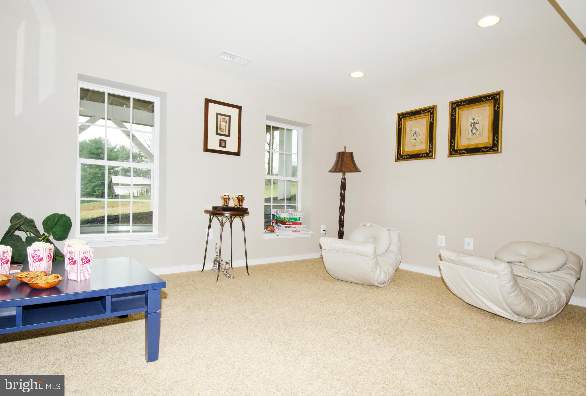 125 Standpipe Road Culpeper, VA 22701 - Photo 13 of 22 Basement