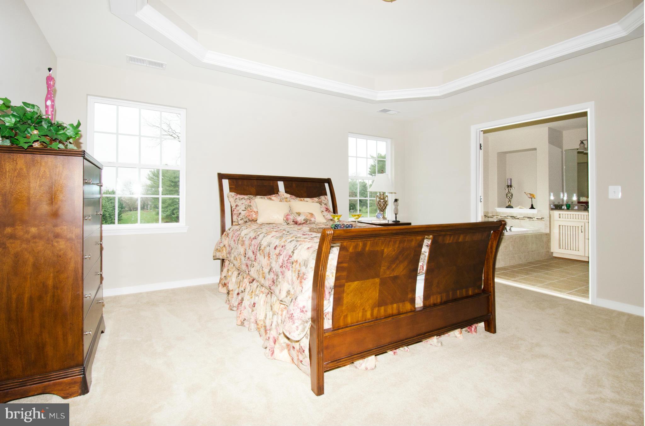 125 Standpipe Road Culpeper, VA 22701 - Photo 16 of 22 Bedroom (Master)
