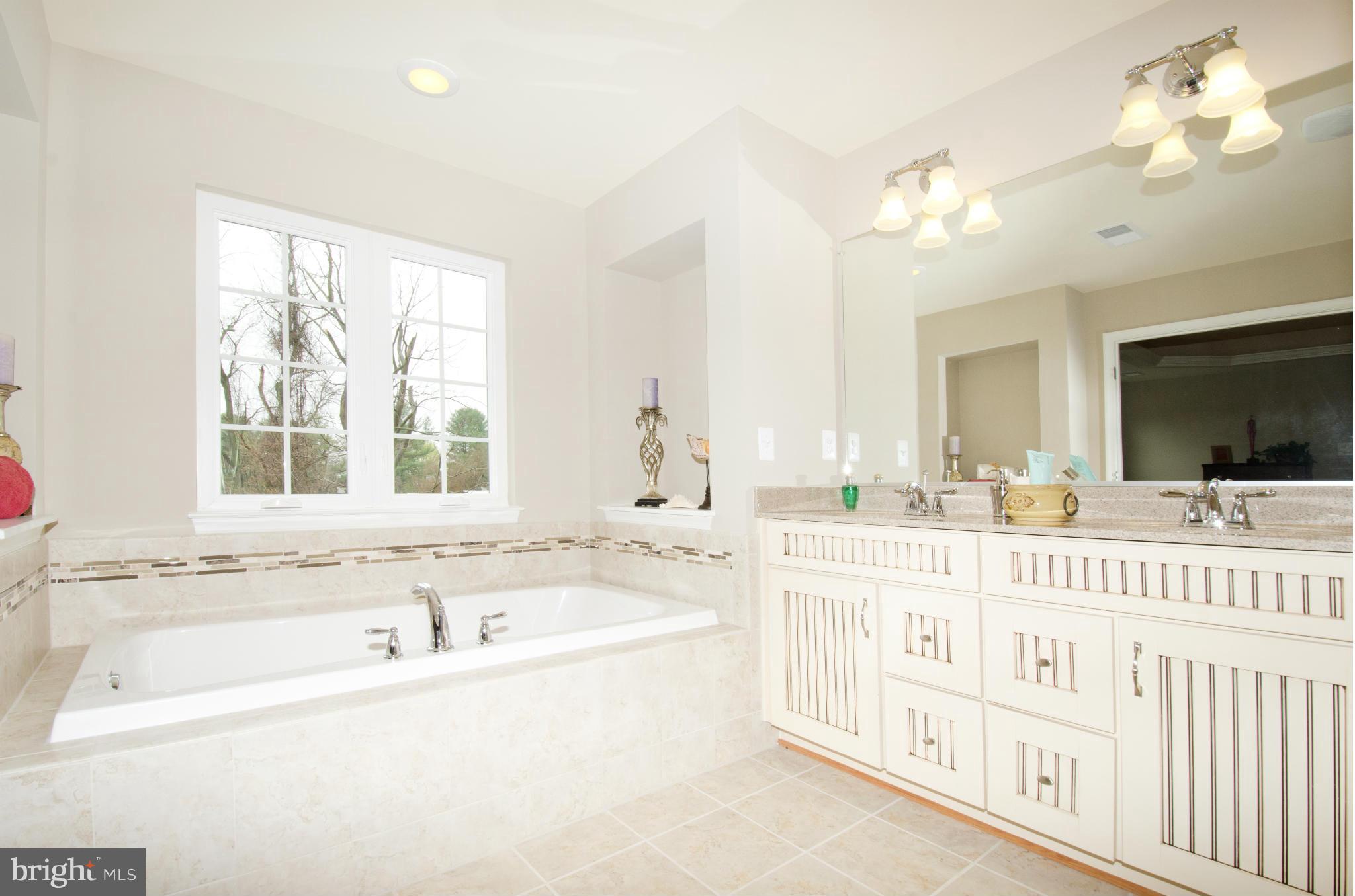 125 Standpipe Road Culpeper, VA 22701 - Photo 17 of 22 Bath (Master)