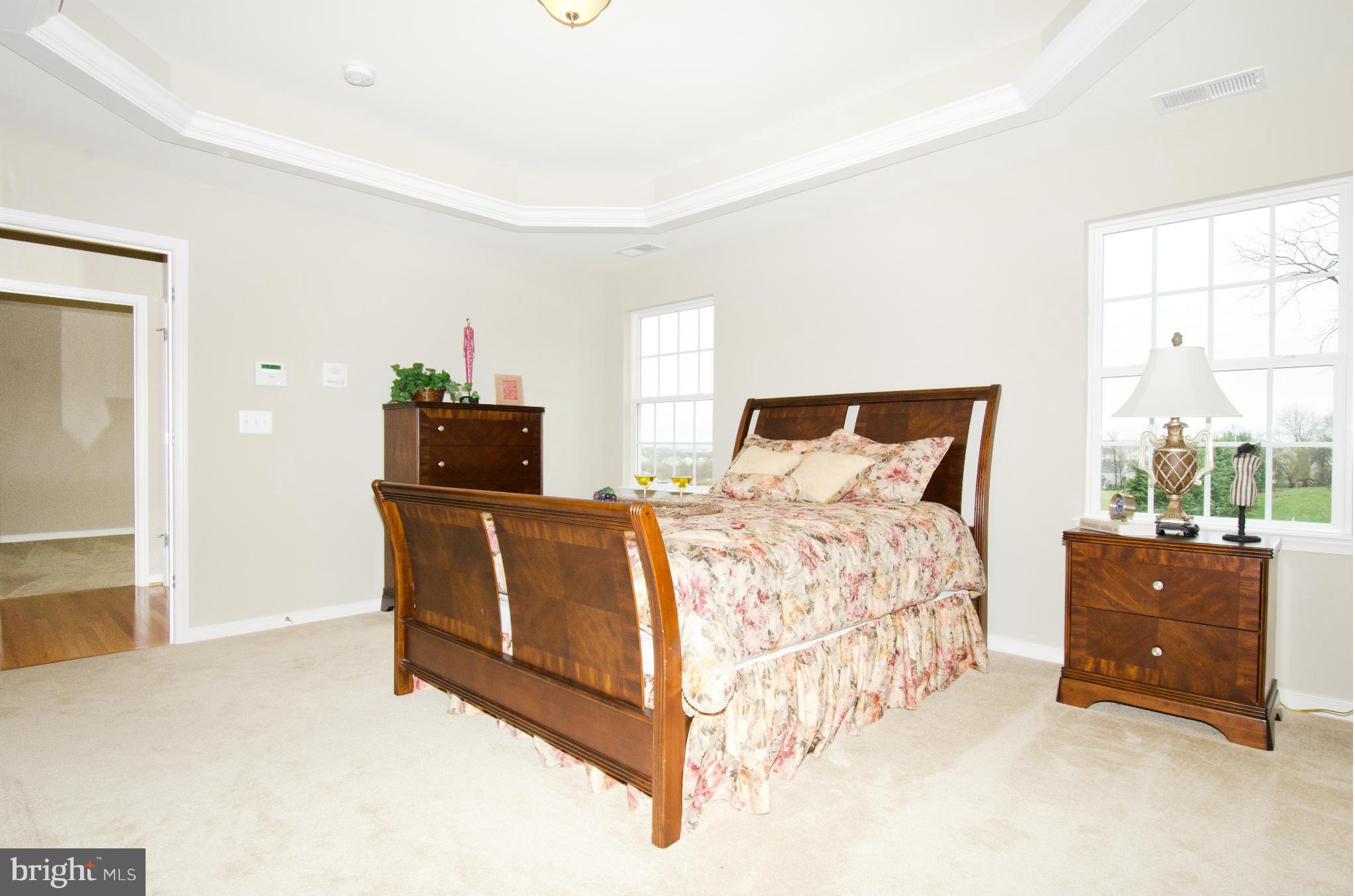 125 Standpipe Road Culpeper, VA 22701 - Photo 18 of 22 Bedroom (Master)