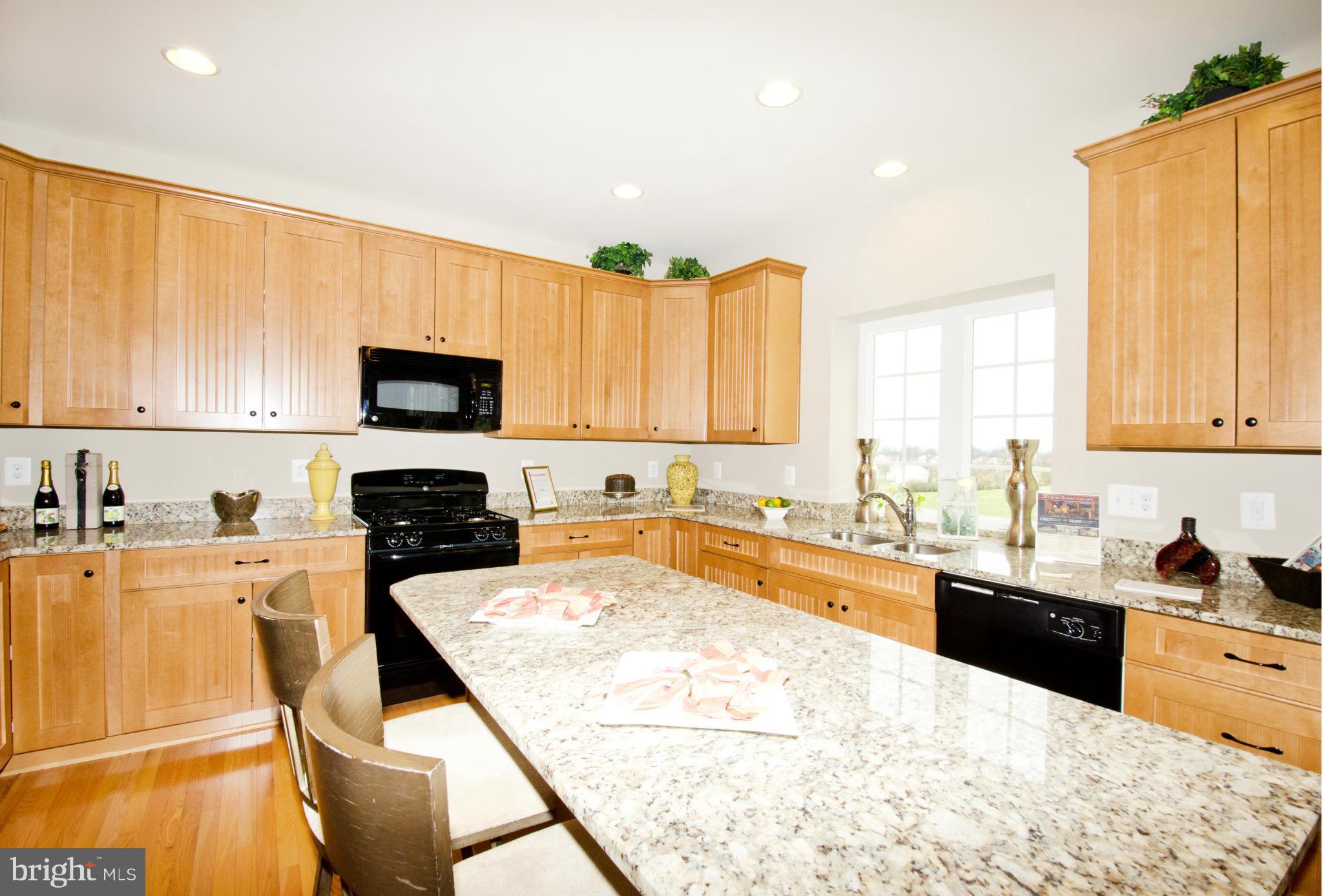 125 Standpipe Road Culpeper, VA 22701 - Photo 22 of 22 Beautiful Granite!
