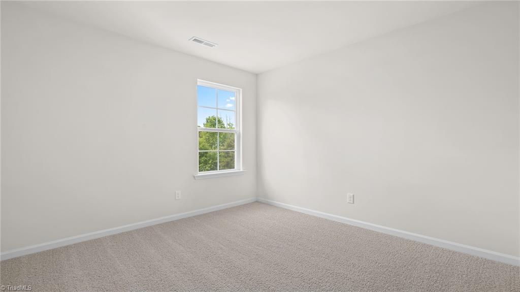 6687 Capstone Court Rural Hall, NC 27045 - Photo 13 of 18 *photos are for representational purposes only.