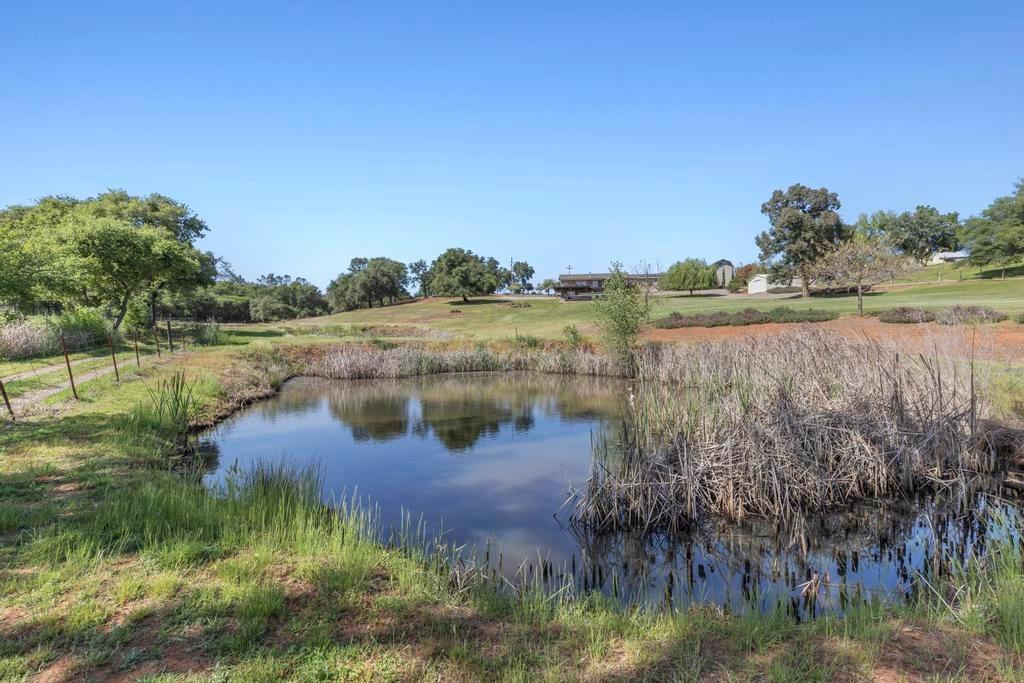 11147 Township Road Browns Valley, CA 95918 - Photo 6 of 63