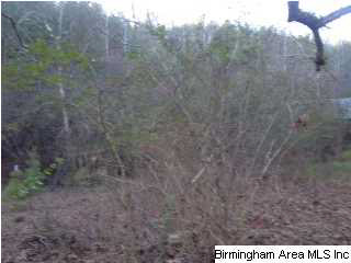 546 Hidden Valley Road, Unit 2 Anniston, AL 36207 - Photo 3 of 5