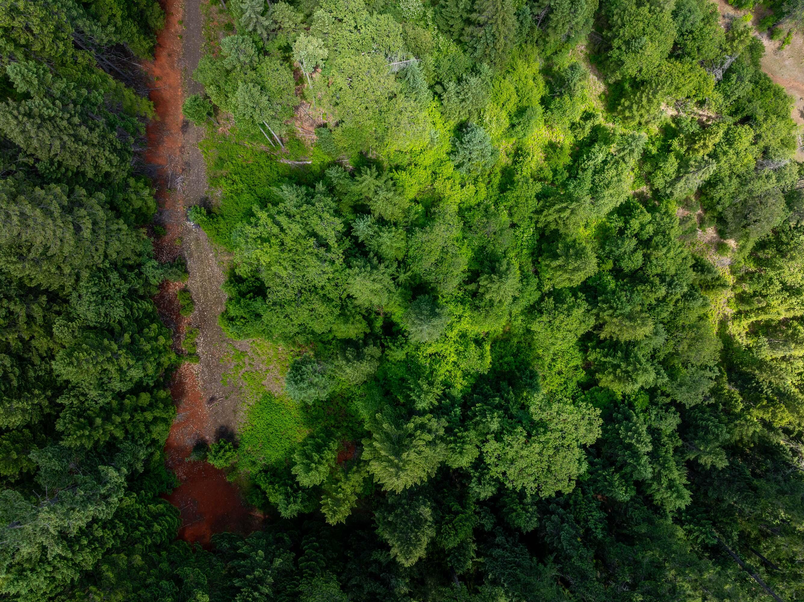 525 Sherier Road Cave Junction, OR 97523 - Photo 12 of 20 DRONE (3 of 9)