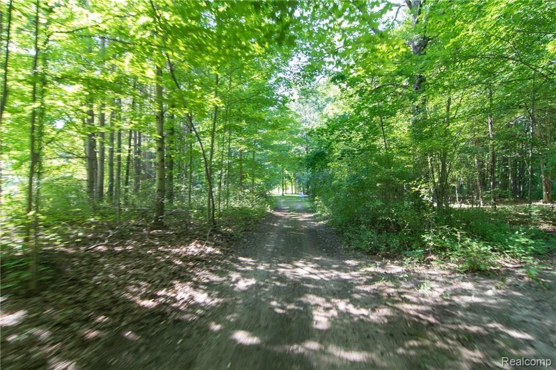 8127 Marsh Road Algonac, MI 48001 - Photo 62 of 68 DSC_0092.jpg