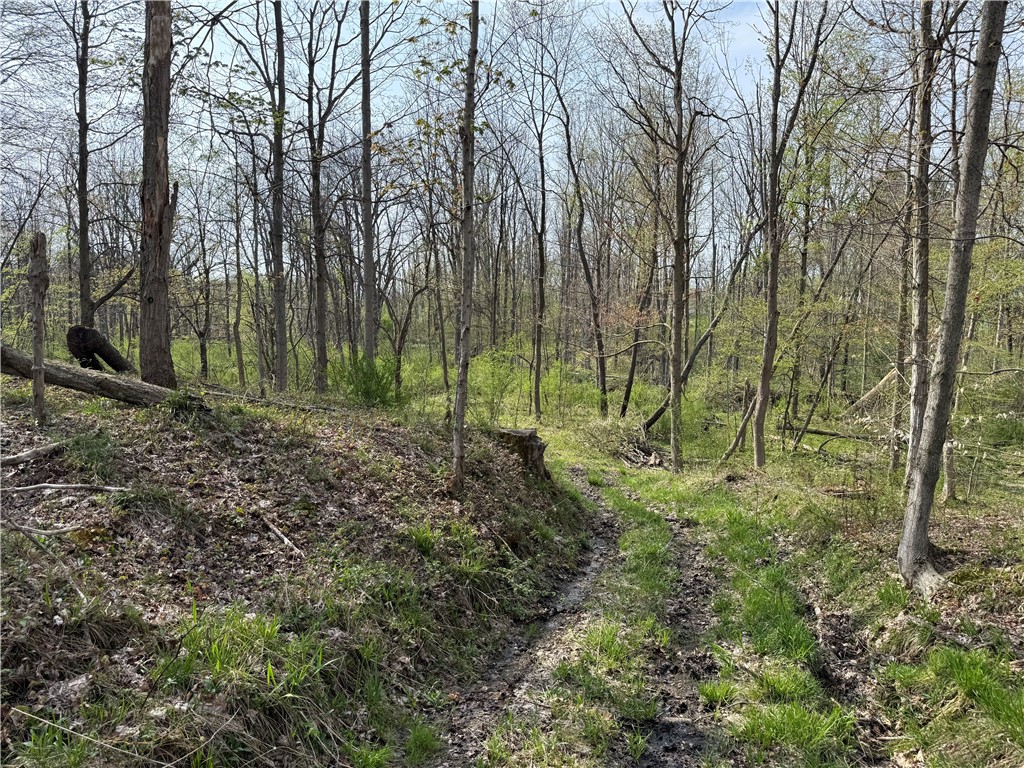 14245 Collins Center Zoar Road Collins, NY 14034 - Photo 11 of 32