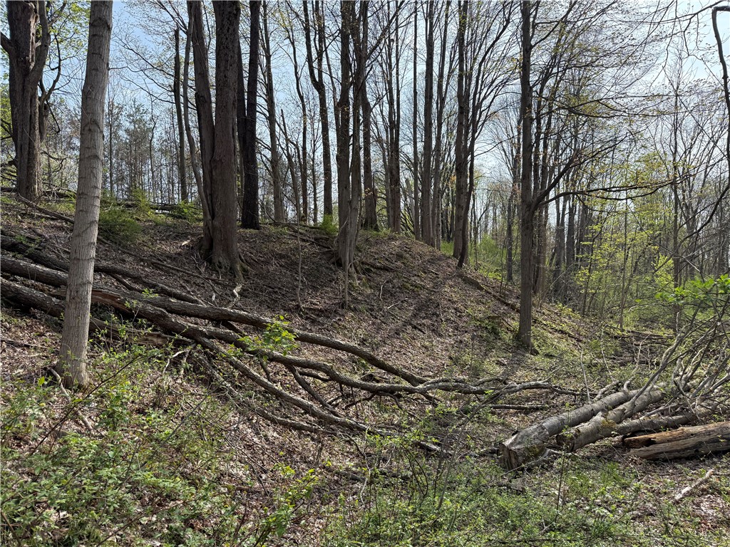 14245 Collins Center Zoar Road Collins, NY 14034 - Photo 12 of 32