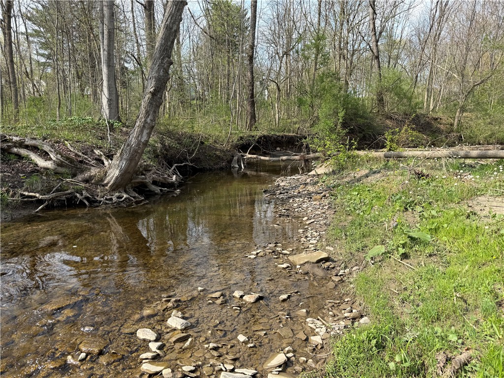 14245 Collins Center Zoar Road Collins, NY 14034 - Photo 15 of 32