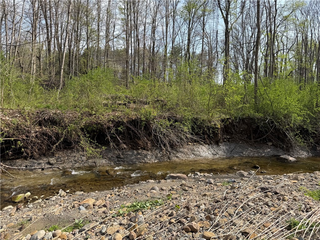 14245 Collins Center Zoar Road Collins, NY 14034 - Photo 16 of 32