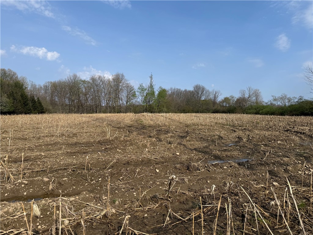 14245 Collins Center Zoar Road Collins, NY 14034 - Photo 2 of 32
