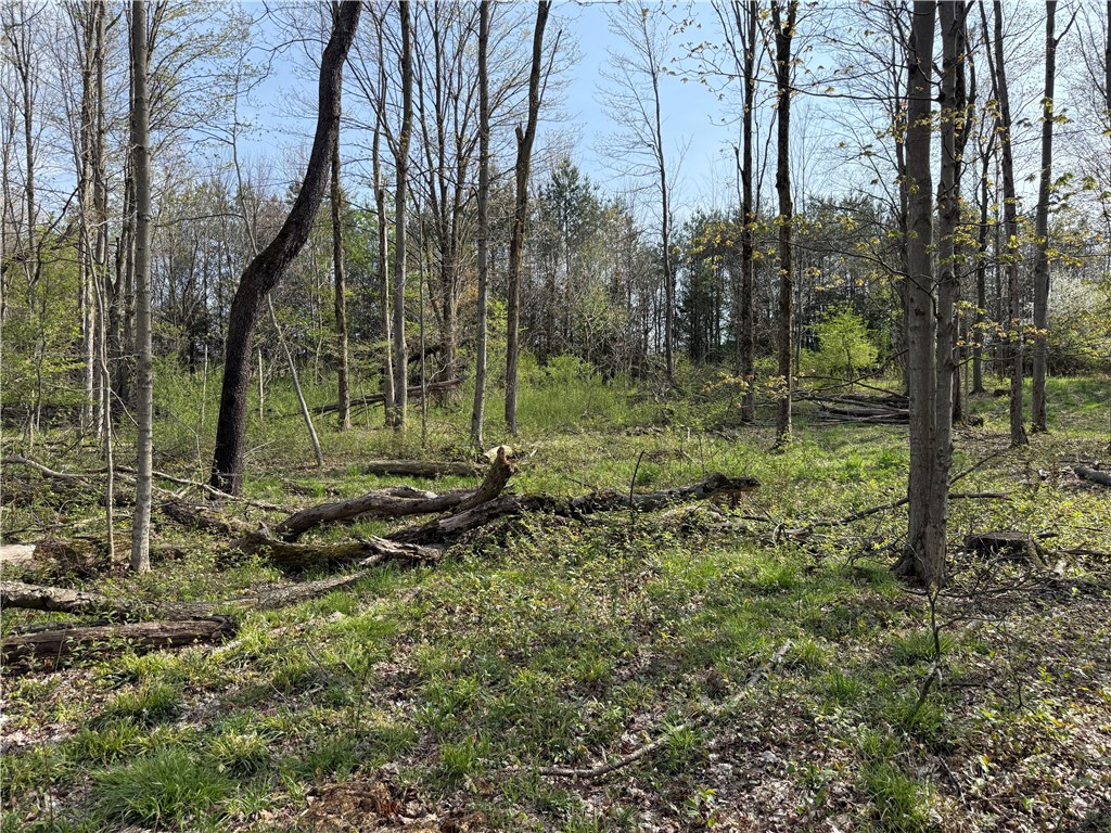 14245 Collins Center Zoar Road Collins, NY 14034 - Photo 21 of 32