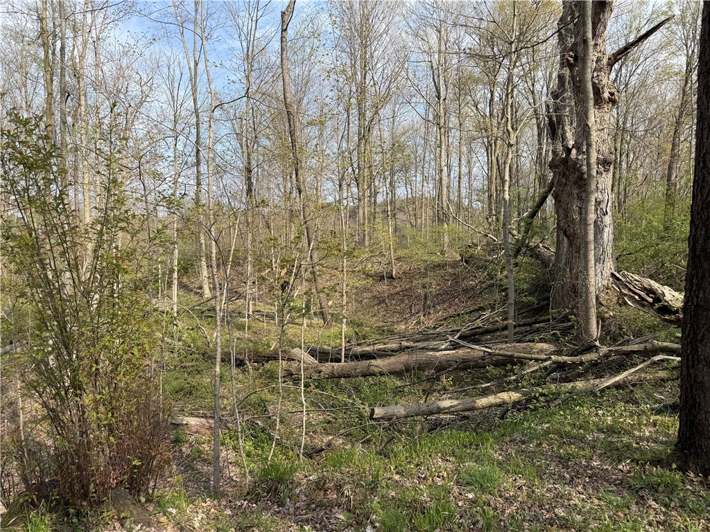 14245 Collins Center Zoar Road Collins, NY 14034 - Photo 22 of 32