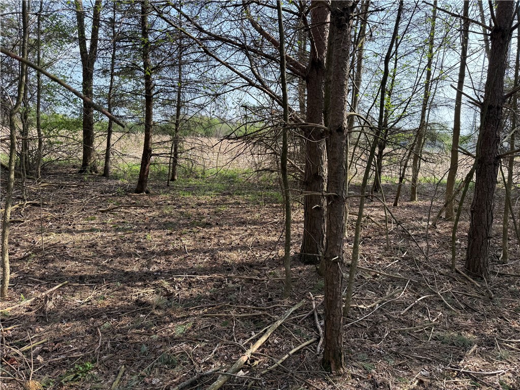 14245 Collins Center Zoar Road Collins, NY 14034 - Photo 23 of 32