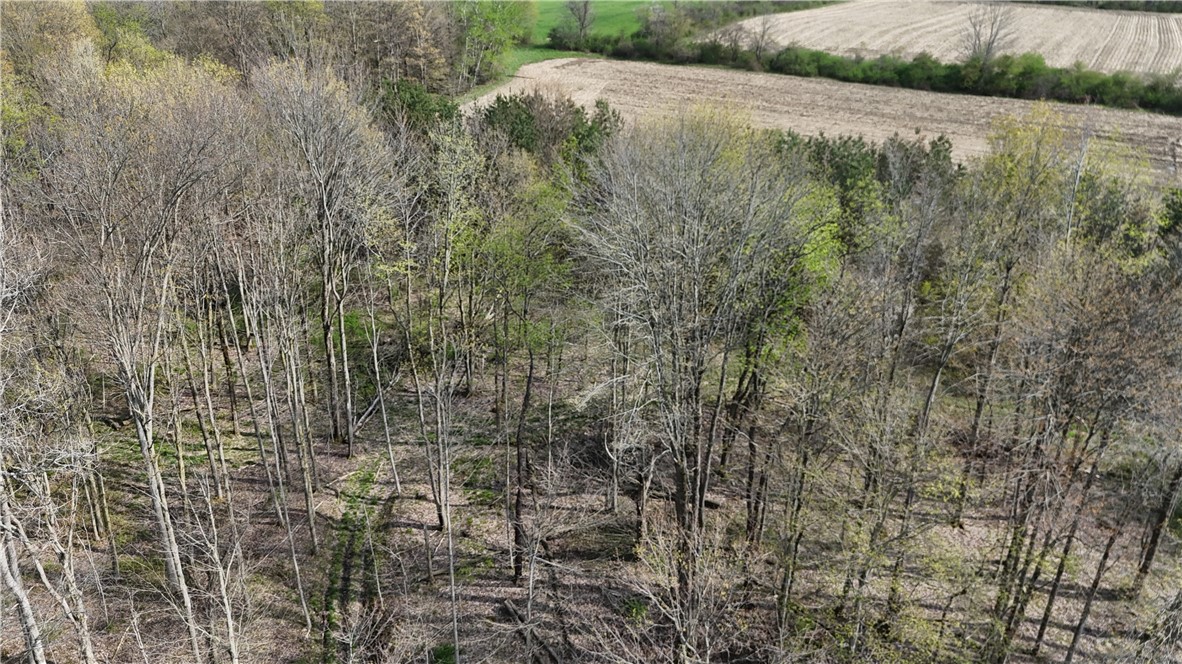 14245 Collins Center Zoar Road Collins, NY 14034 - Photo 24 of 32
