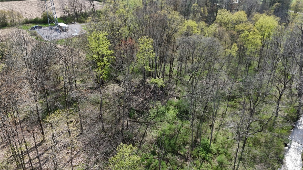 14245 Collins Center Zoar Road Collins, NY 14034 - Photo 25 of 32