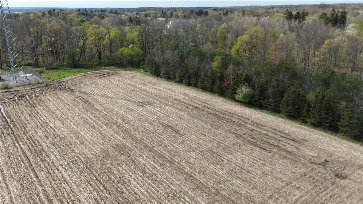 14245 Collins Center Zoar Road Collins, NY 14034 - Photo 27 of 32