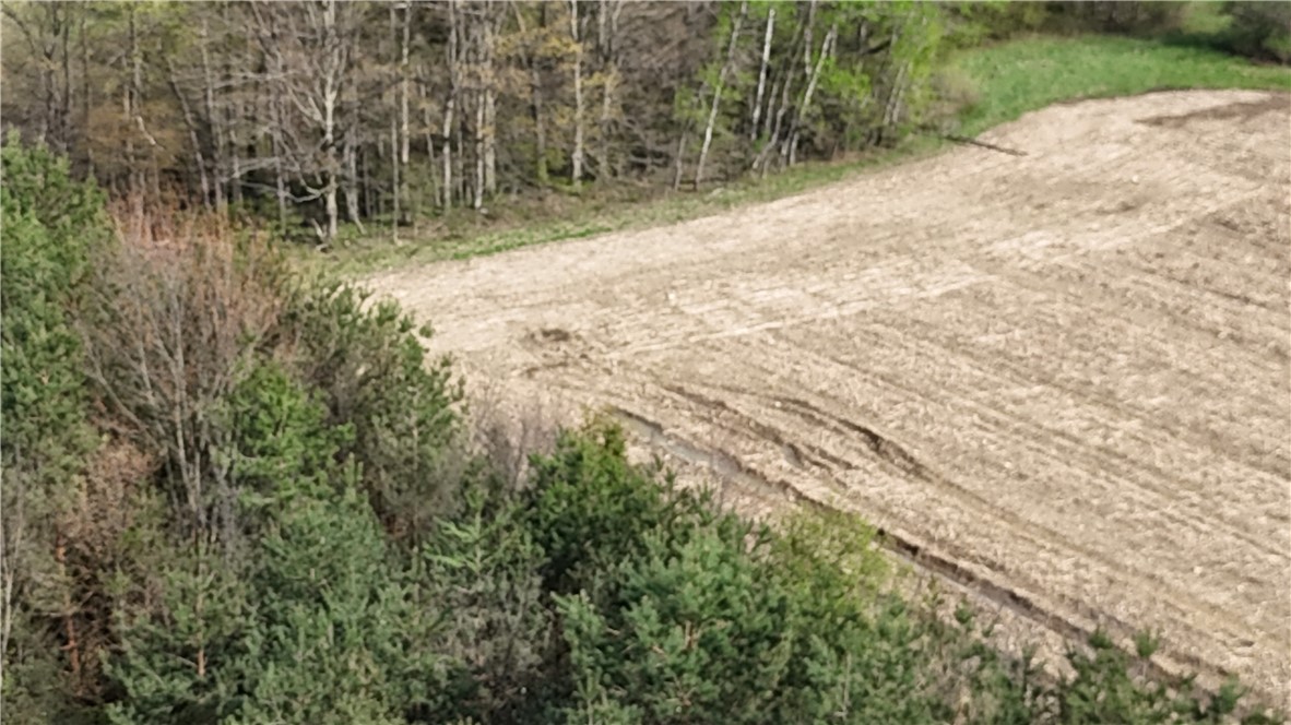 14245 Collins Center Zoar Road Collins, NY 14034 - Photo 28 of 32